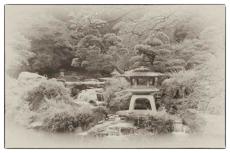 The Garden