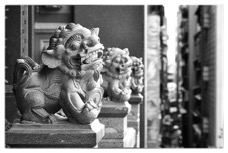 DSC00259-Edit-Edit-Edit-Edit.jpg