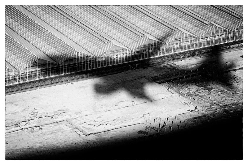 steal a Plane and Run Away