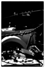 0030343bW.jpg