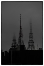 0037333FW.jpg