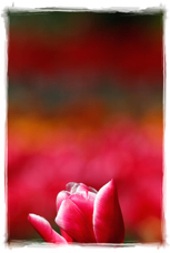 0091104bF.jpg