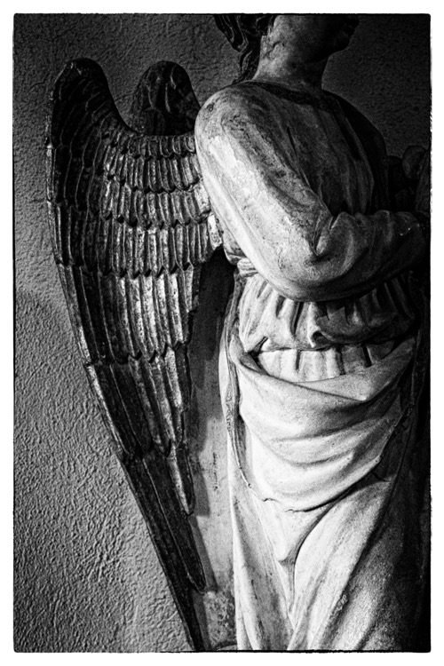 The Guardian