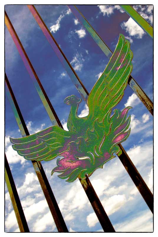 Phoenix