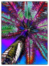 tropical-mixFW.jpg