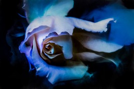 _MG_3854-Edit-Edit.jpg