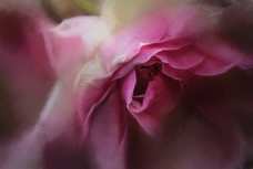 _MG_3033-Edit.jpg