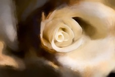 _MG_3225b-Edit.jpg
