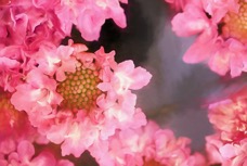 _MG_9027-Edit.jpg