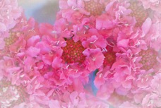 _MG_9032-Edit.jpg