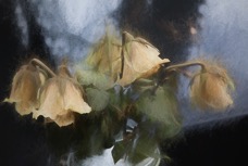 N201369.jpg